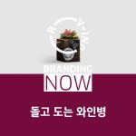 알비노