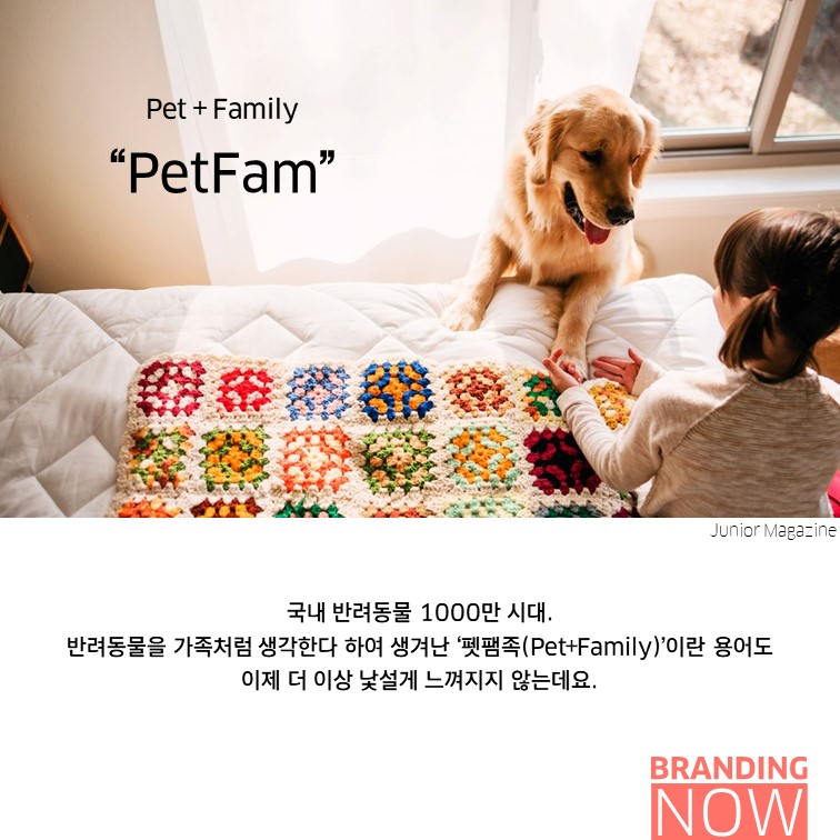 밀레니얼 petbarn