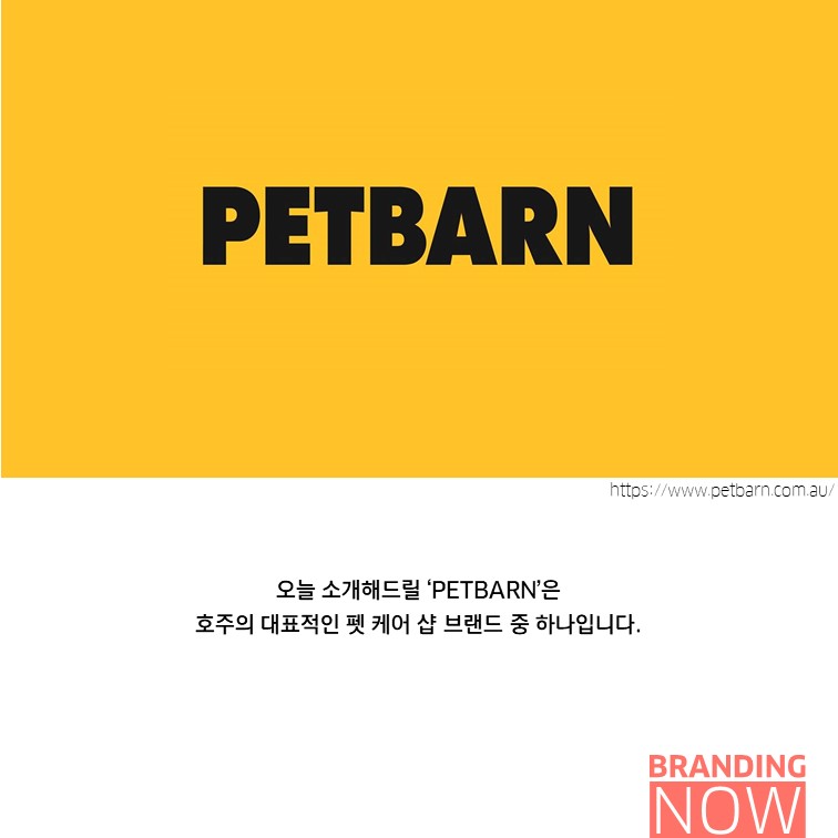 밀레니얼 petbarn