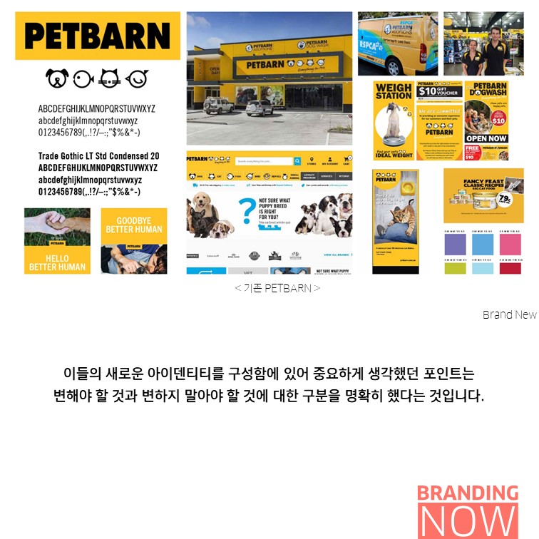 밀레니얼 petbarn