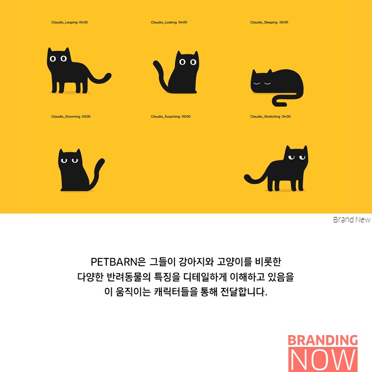 밀레니얼 petbarn