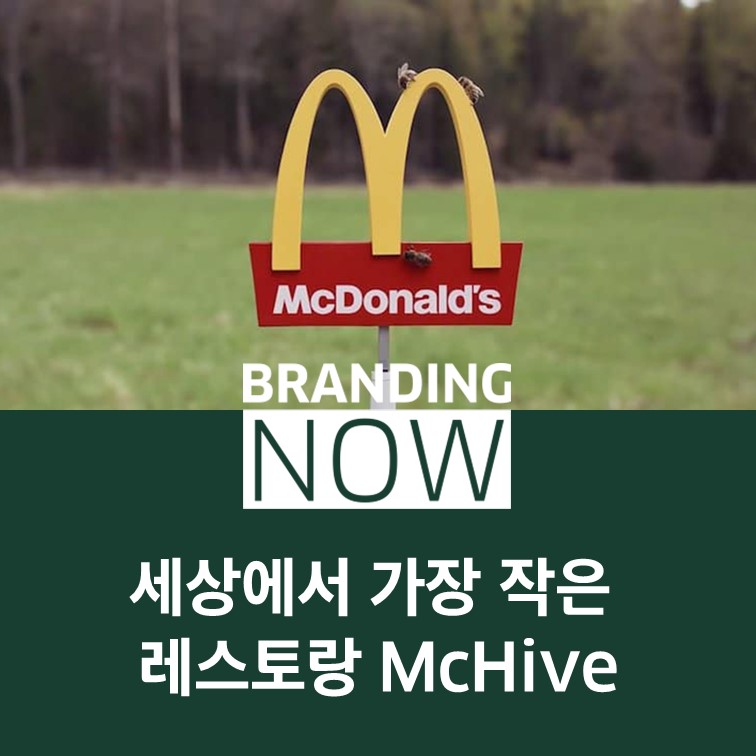 맥도날드 McHive