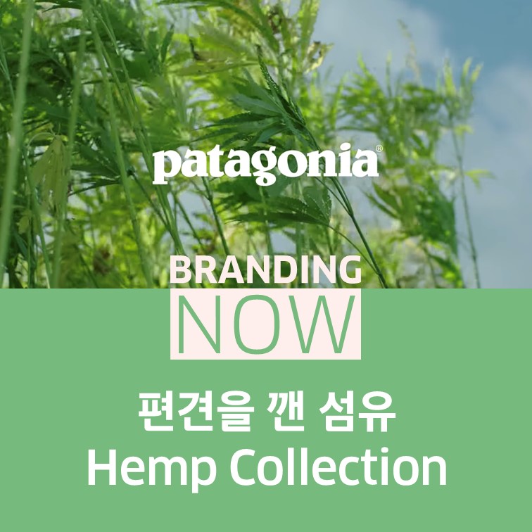 patagonia Hemp Collection