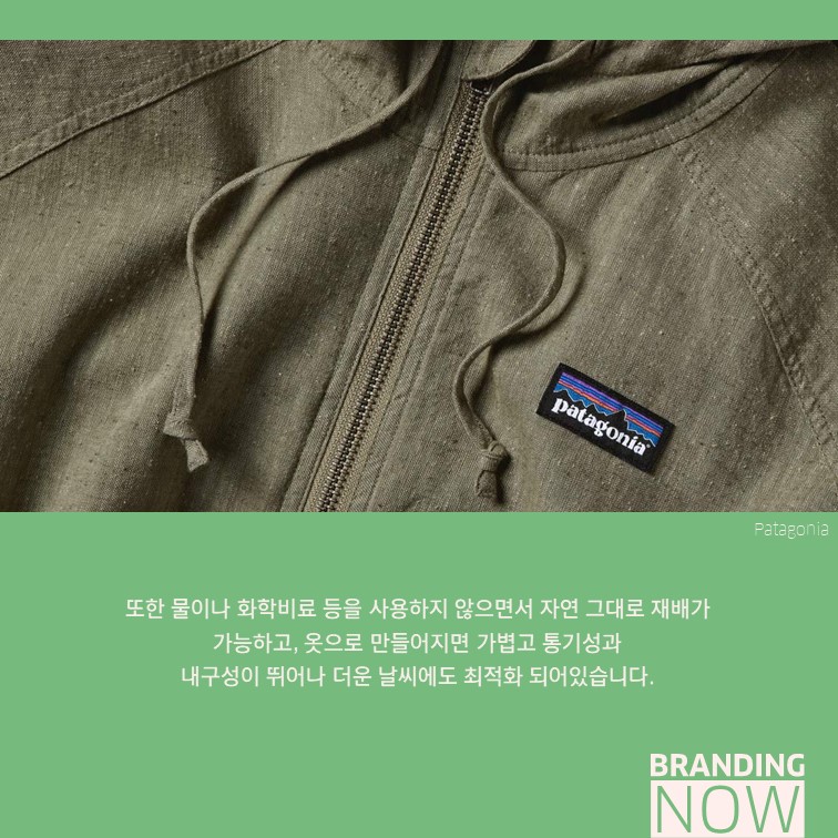 patagonia Hemp Collection