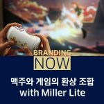 Miller Lite Cantroller