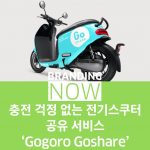 Gogoro Goshare