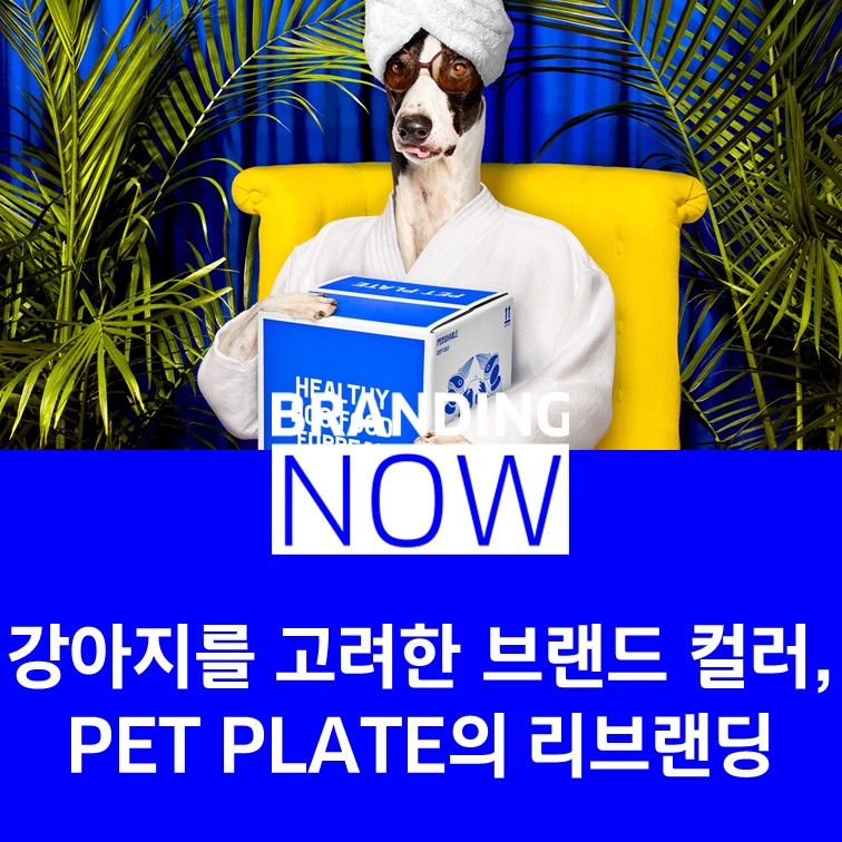 PET PLATE 리브랜딩