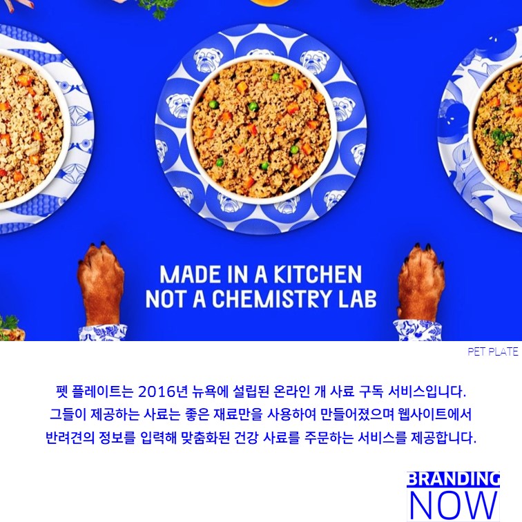 PET PLATE 리브랜딩