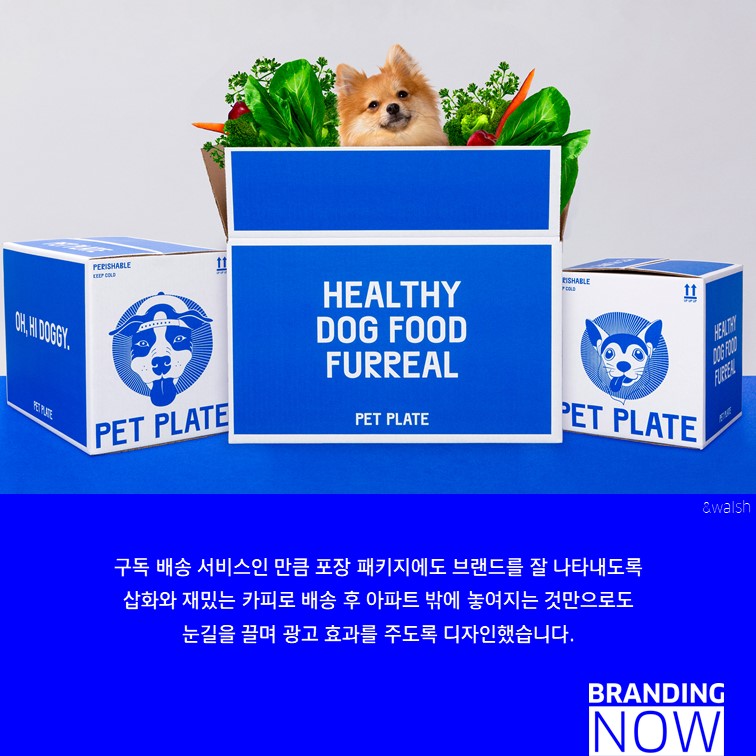 PET PLATE 리브랜딩