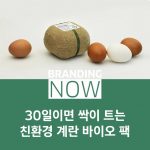 30일 계란 바이오 팩