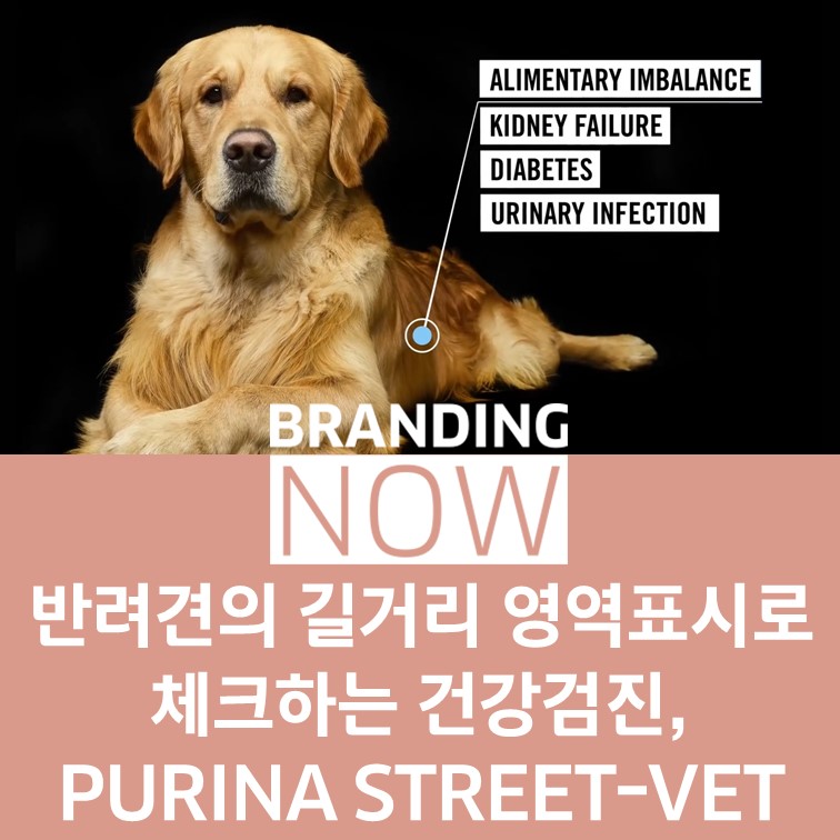 반려견 캠페인 PURINA STREET-VET