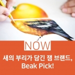 일러스트 패키지 디자인 Beak Pick!