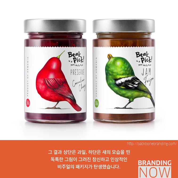 일러스트 패키지 디자인 Beak Pick!