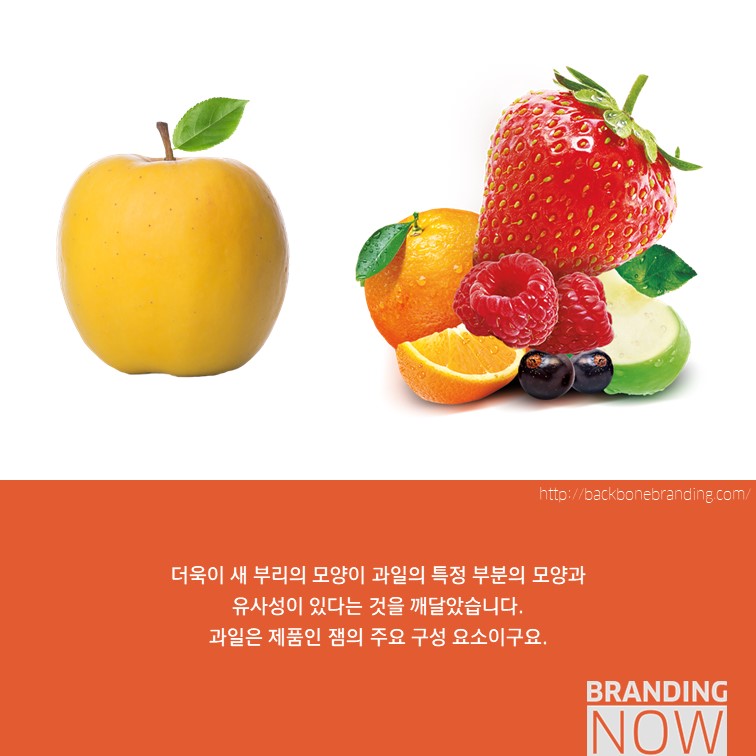 일러스트 패키지 디자인 Beak Pick!