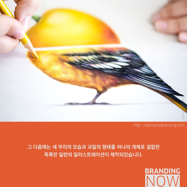 일러스트 패키지 디자인 Beak Pick!