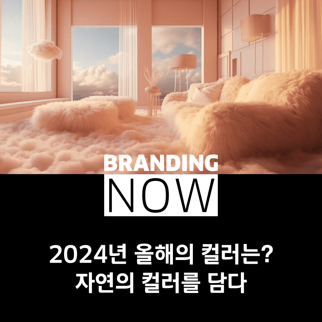 2024년 올해의 컬러