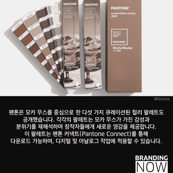 세련됨과 위로의 조화, 2025년 팬톤 올해의 컬러 - 스톤브랜드컨설팅