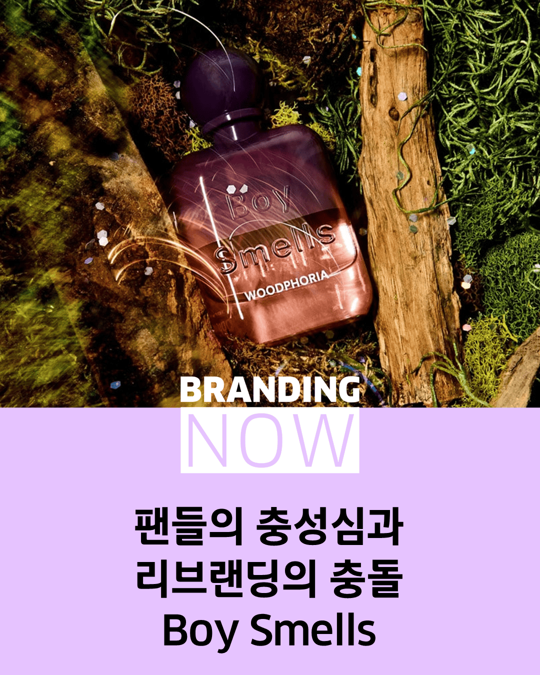 향수 브랜드 리브랜딩