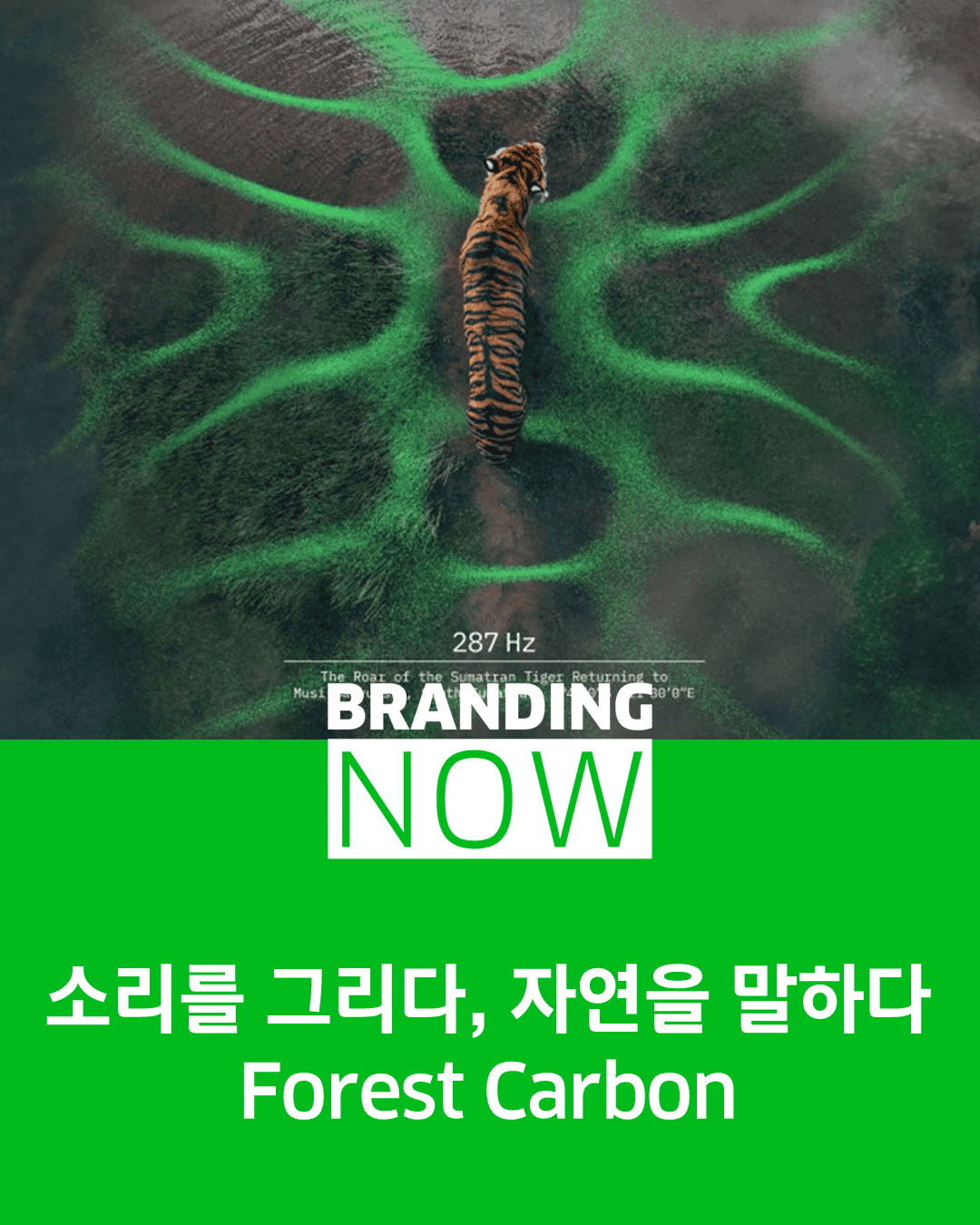 탄소 배출권 브랜드