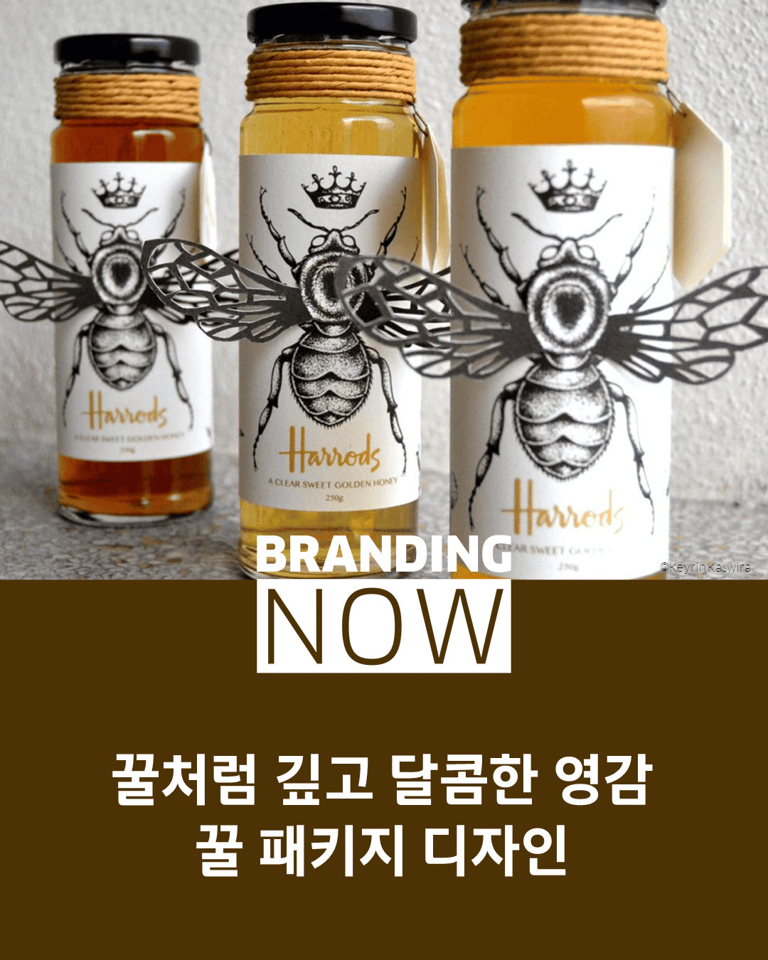 꿀 패키지 디자인