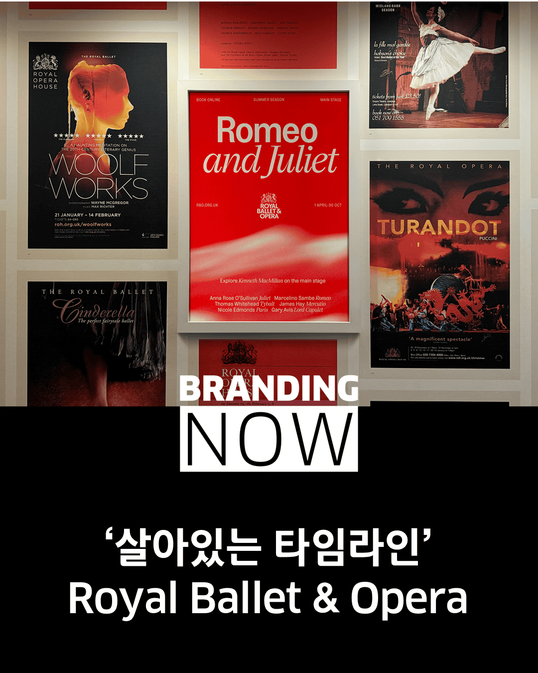 로얄 발레 오페라 리브랜딩