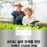 실버 경제 마케팅