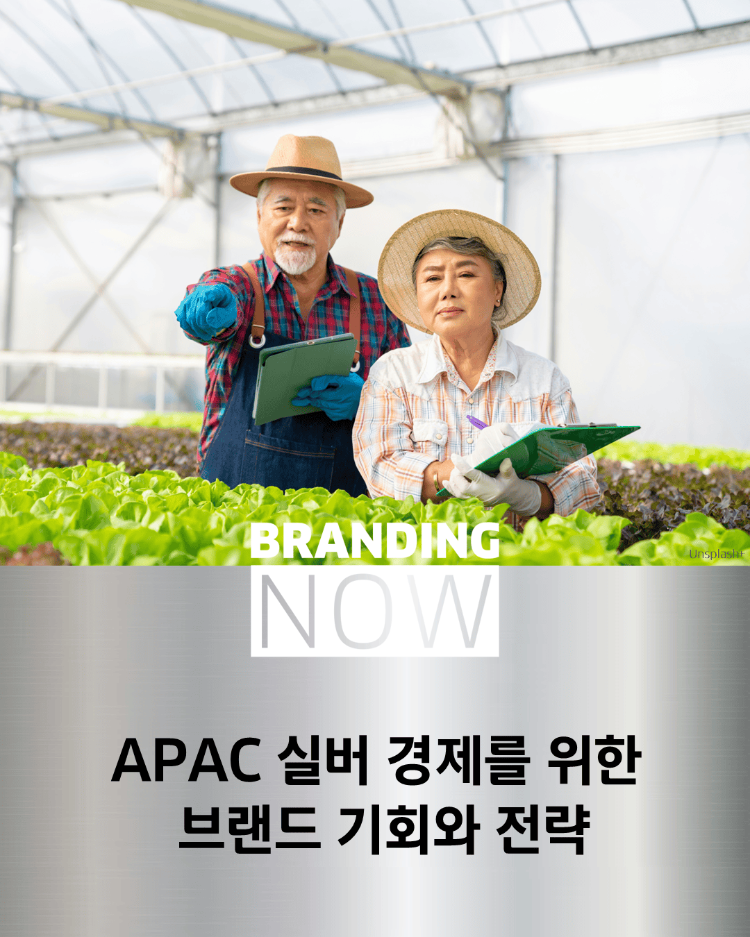 실버 경제 마케팅