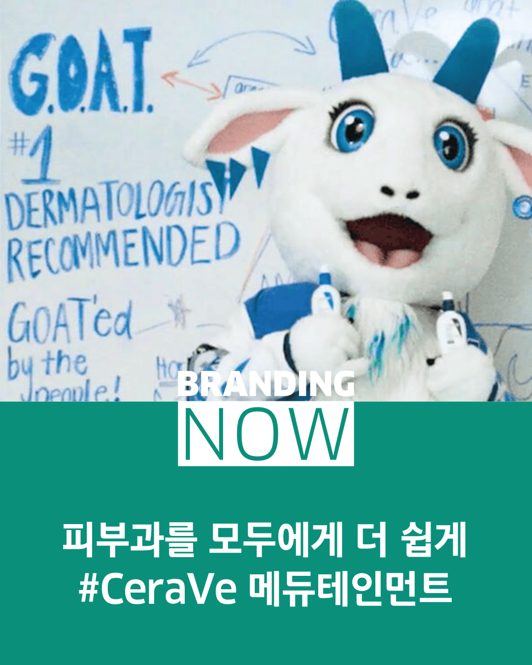 세라비 브랜드 마케팅