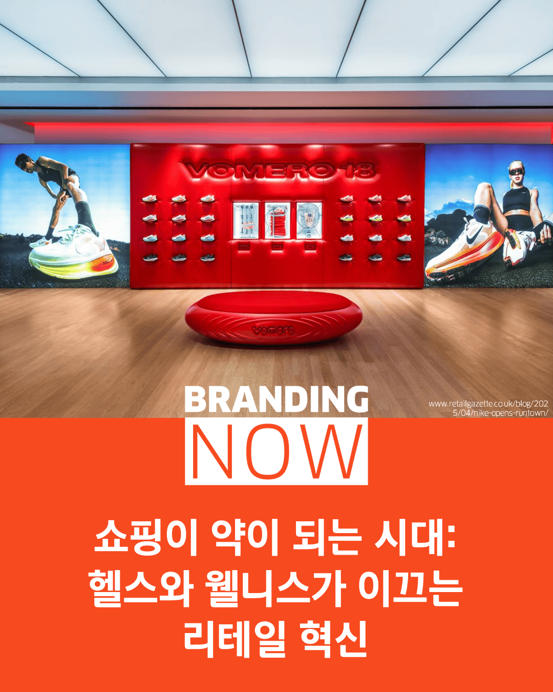 웰니스 산업 트렌드