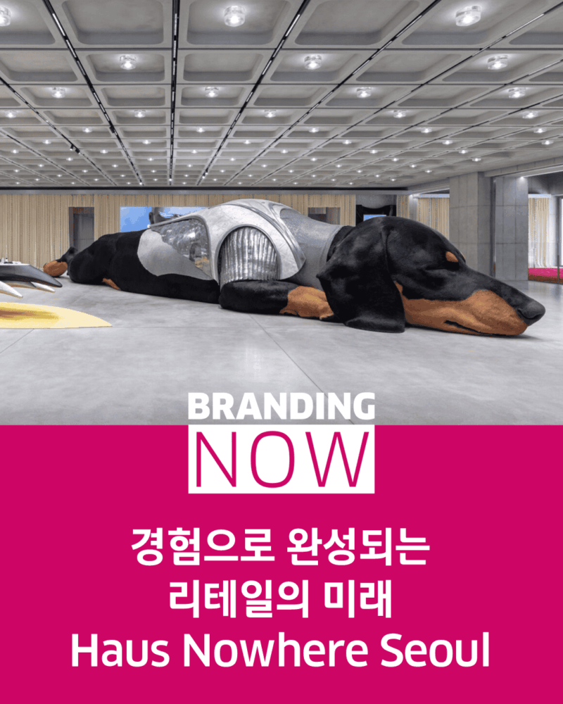 하우스 노웨어 서울