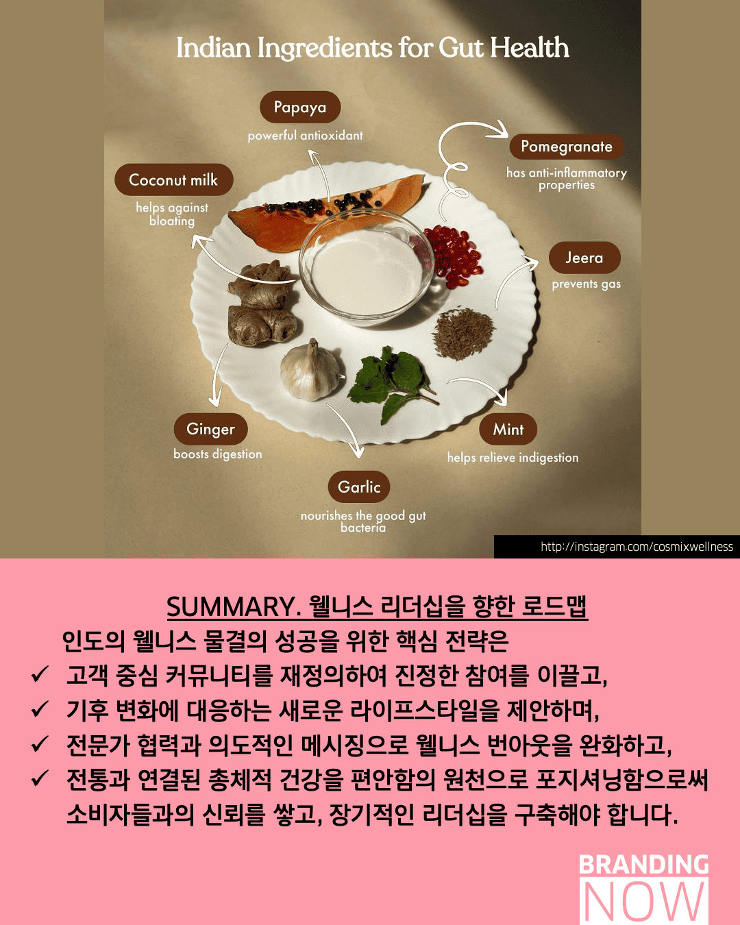 인도 웰니스 시장 트렌드