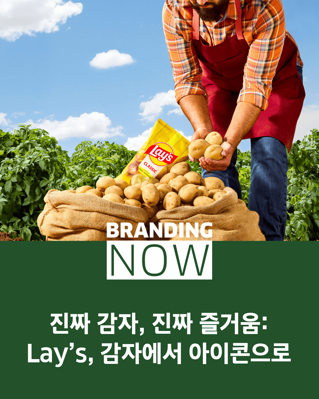 감자칩 브랜드 Lay's 리브랜딩