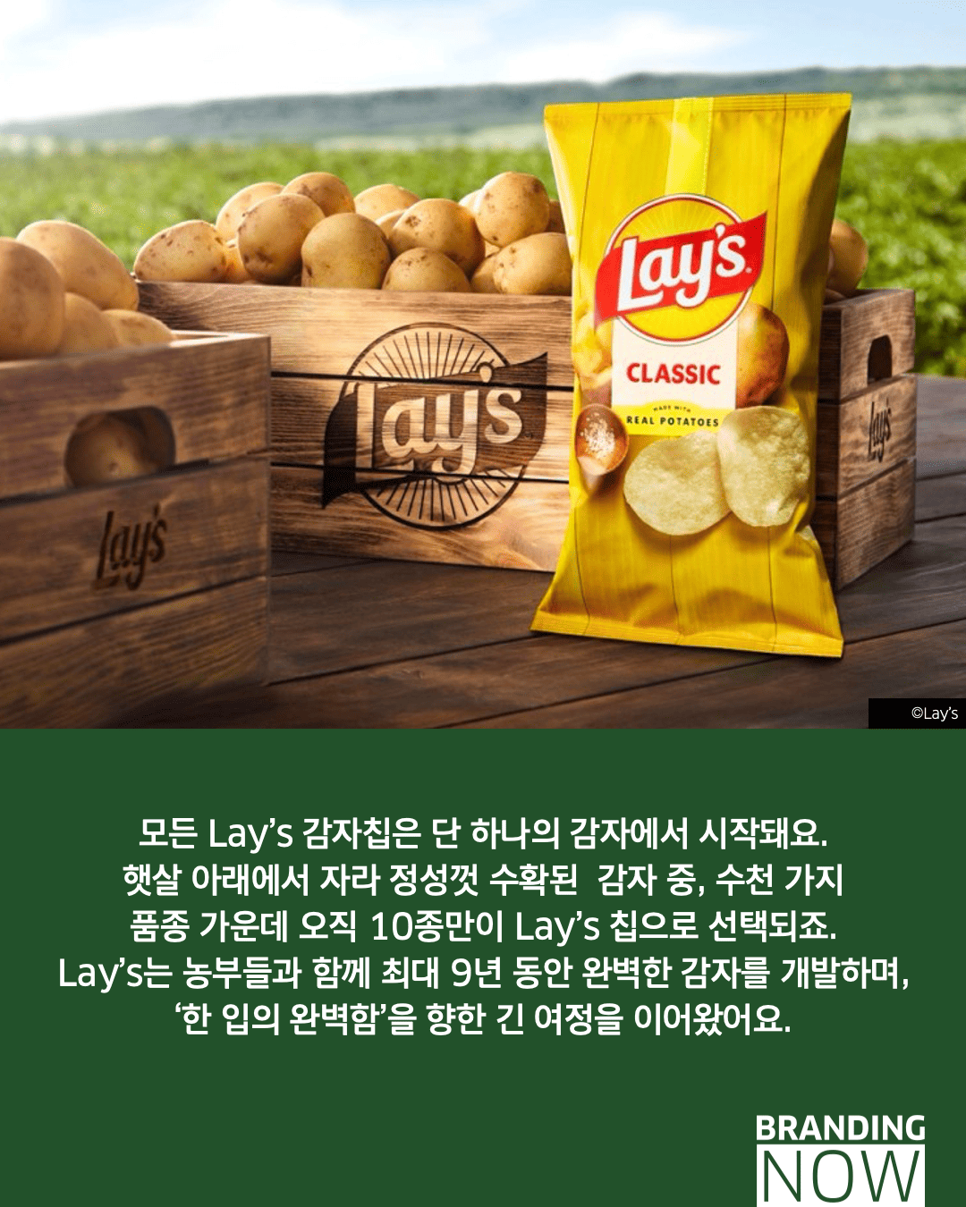 감자칩 브랜드 Lay's 리브랜딩